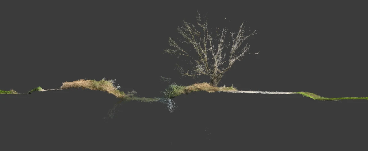 Sezione della nuvola di punti con profilo del terreno, fosso e vegetazione