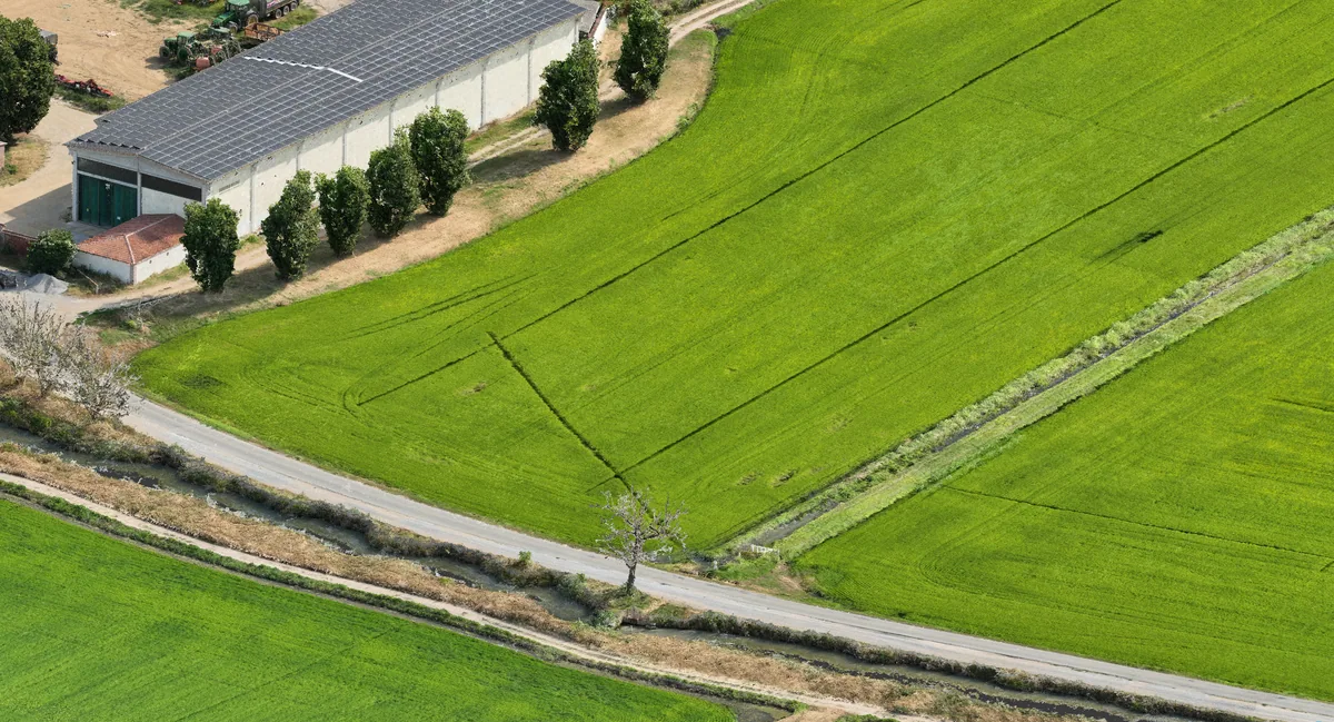 Vista del terreno coltivato e dei fabbricati dell’azienda agricola